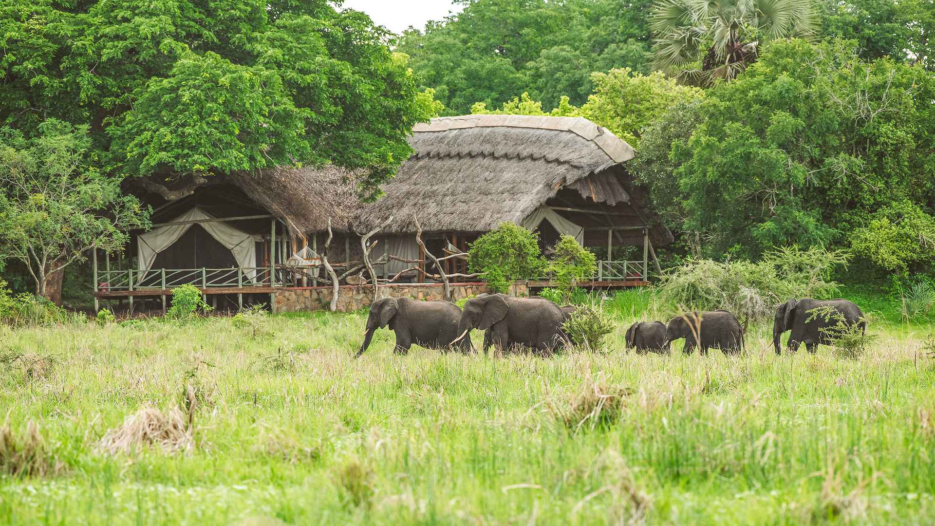 build a more authentic, more exciting and better value safari 