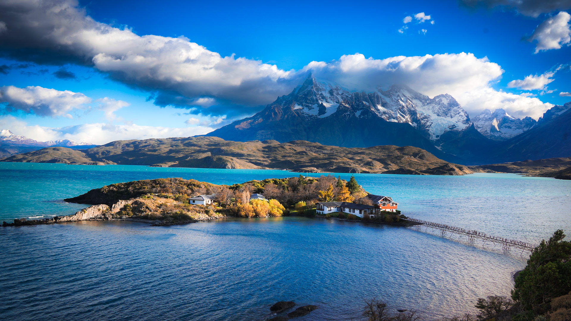 Safari in the Americas