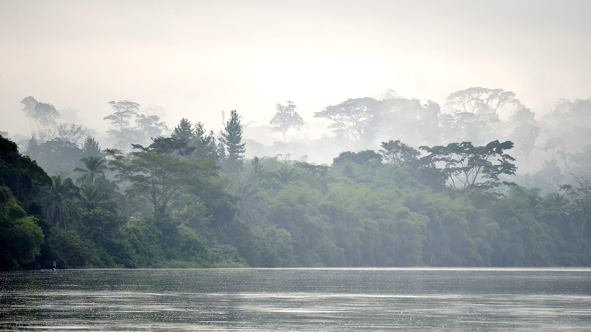 Safari in Central African Republic