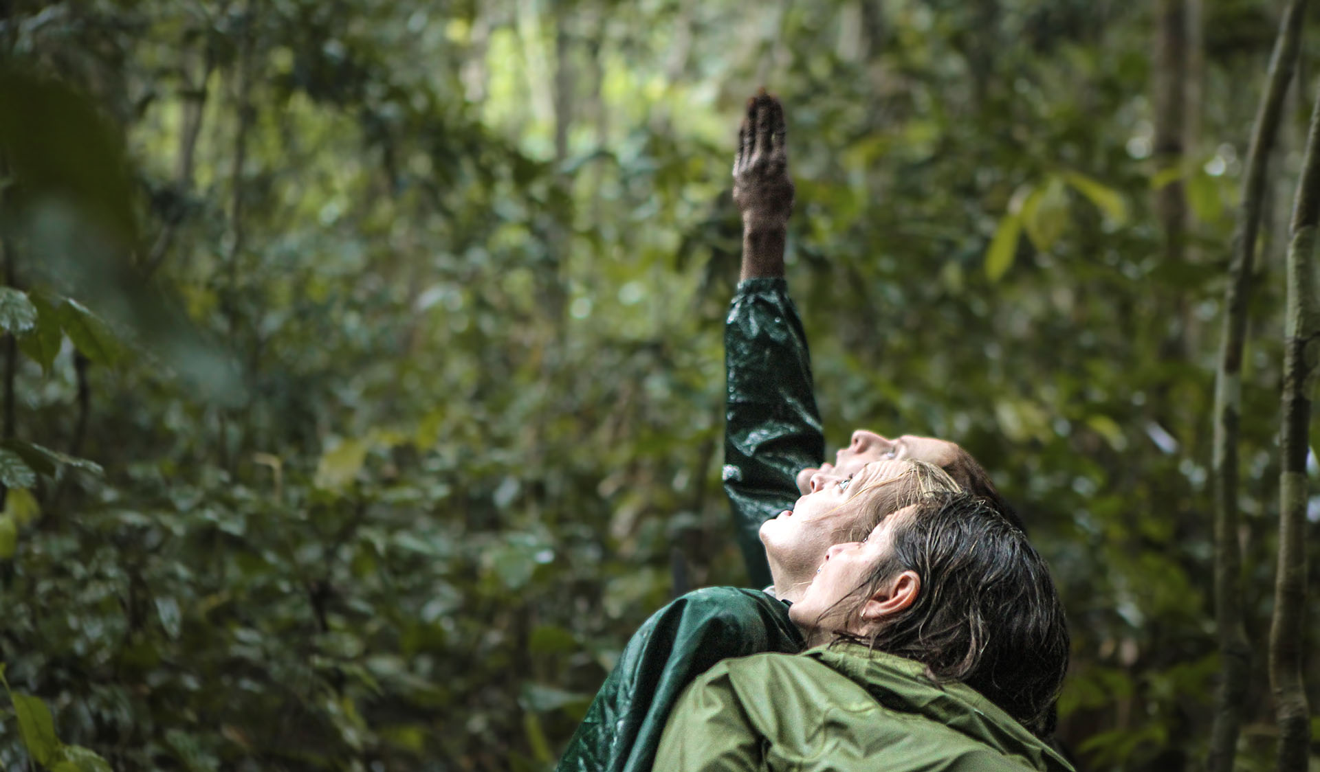 Conservation safaris