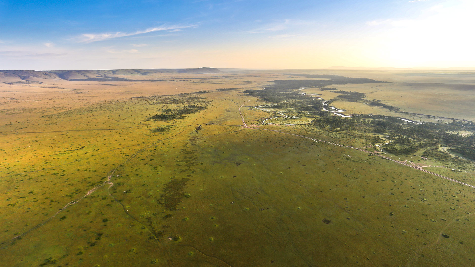 Safari to the Maasai Mara