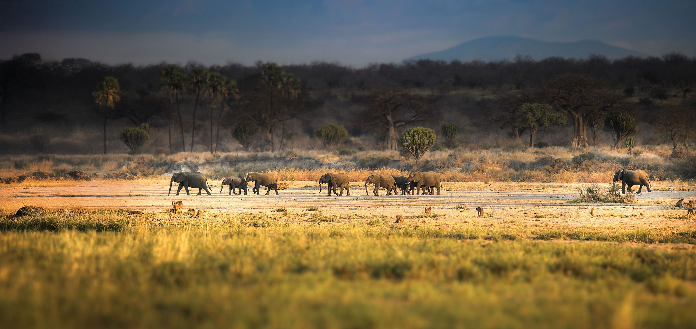 if you can find several weeks to spare we will help you utilise them to the max 