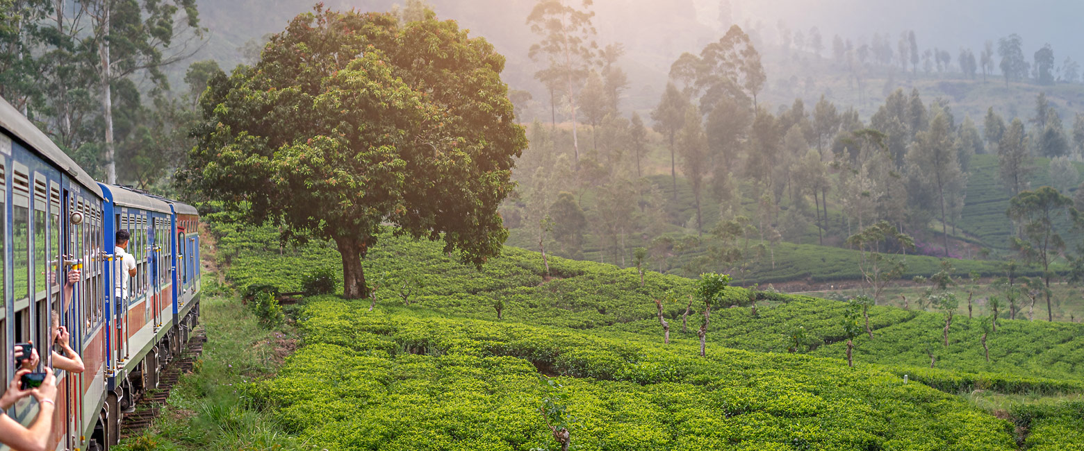 is a very large tropical island with history, safari and diving 