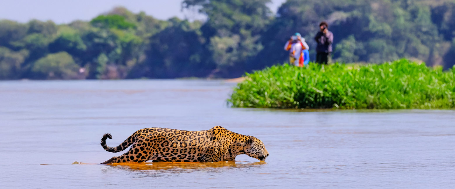 let us know your travel ideas and we will help you create the perfect trip 