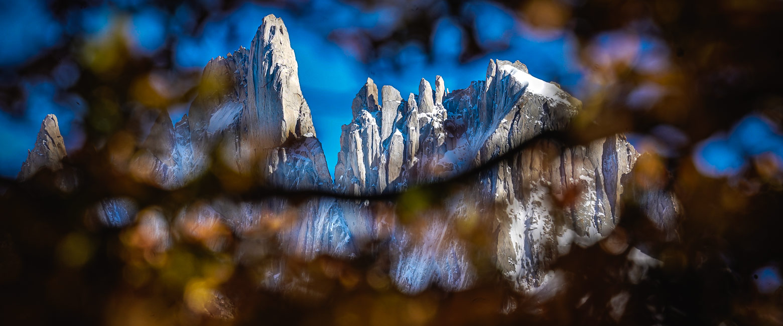 let us know your thoughts about Argentina and we will help you create the perfect safari 