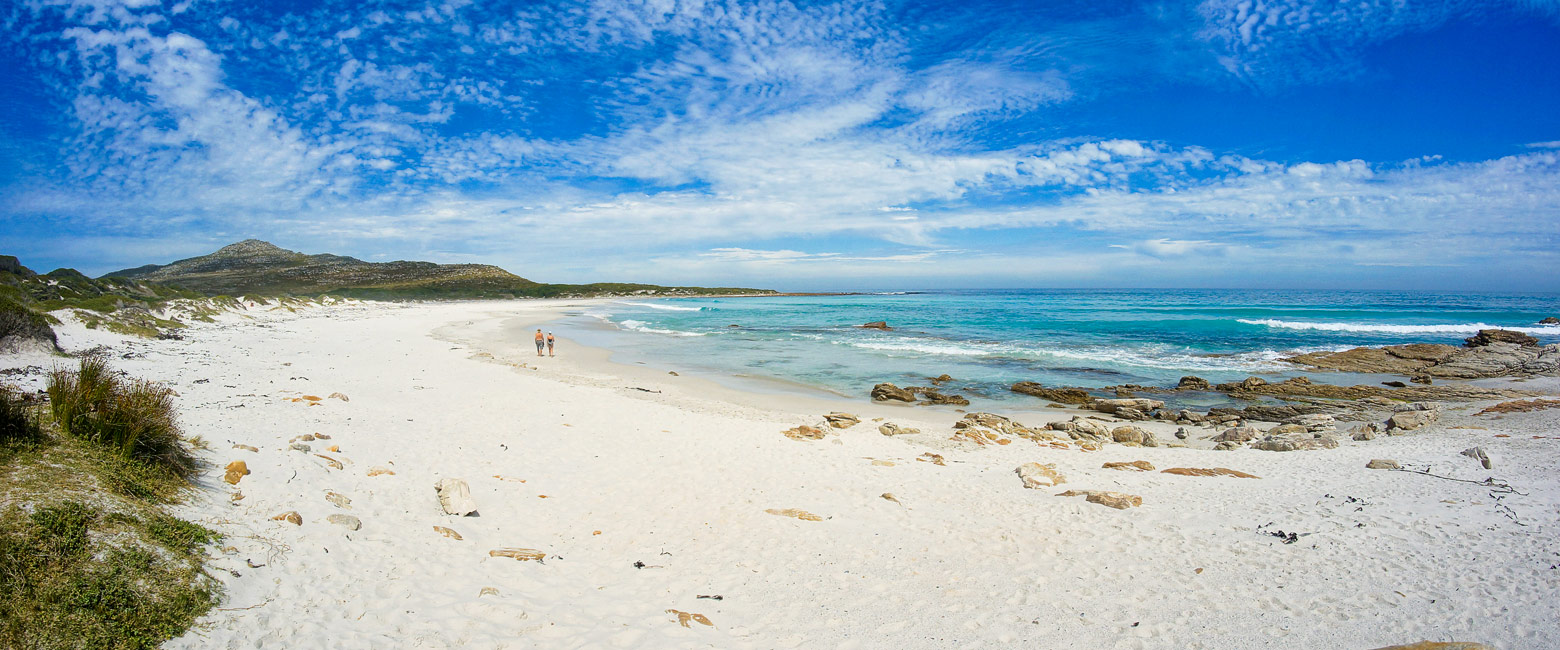 let us know your thoughts about South Africa and we will help you build the perfect safari 