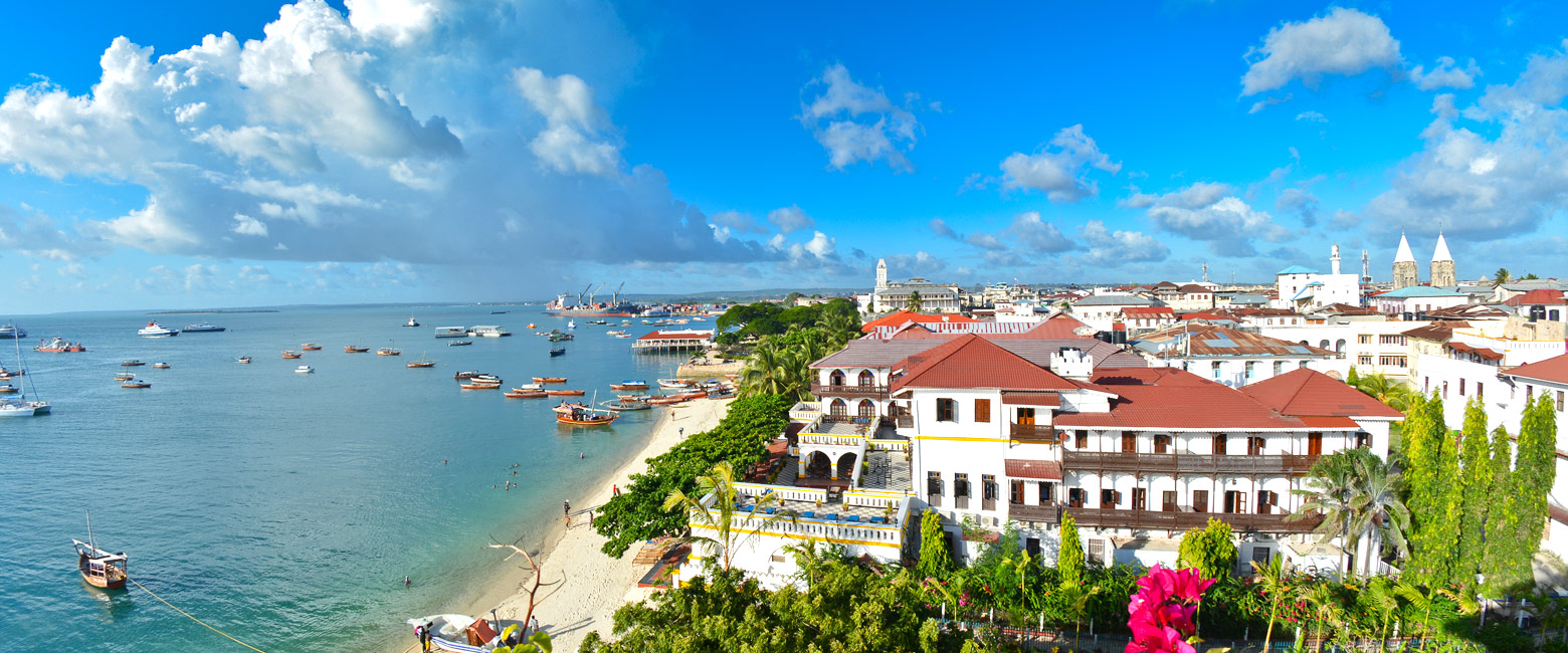 let us know your thoughts about Tanzania and we will help you create the perfect safari 