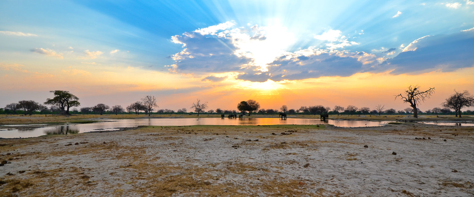 let us know your thoughts about Zimbabwe and we will help you create the perfect trip 