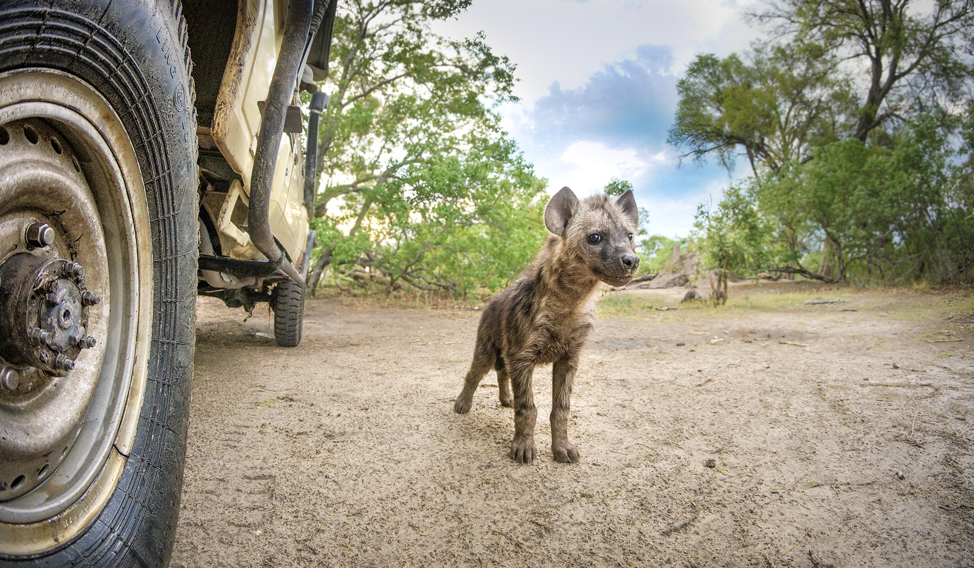 let us know what you have in mind and we will make sure to deliver the perfect trip 