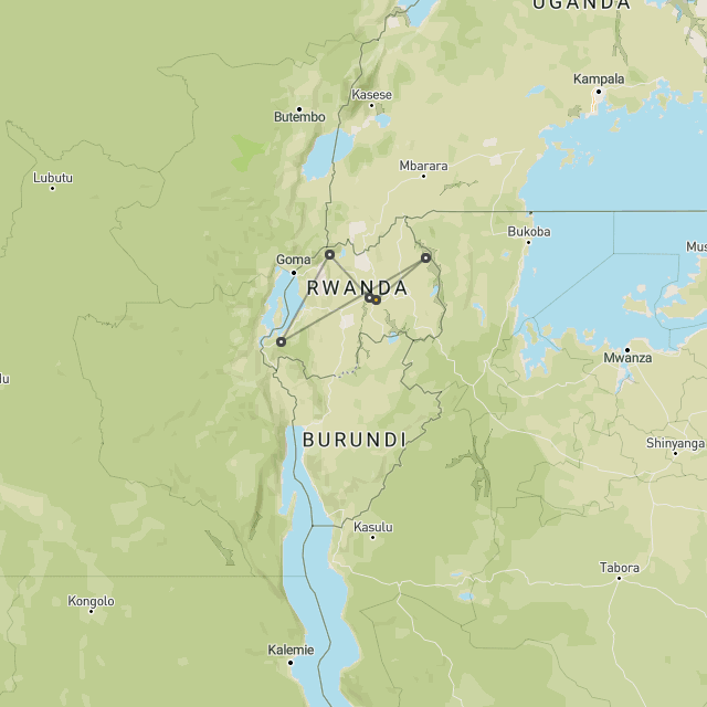 Primates & safari in Rwanda