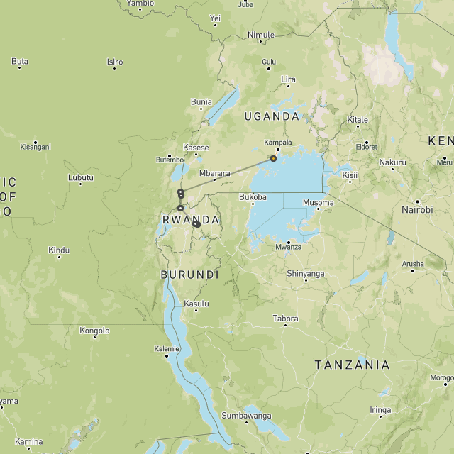 Gorillas in Rwanda & Uganda