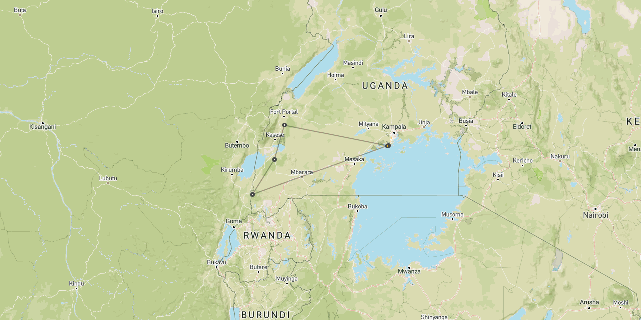 Gorillas, QE & chimps