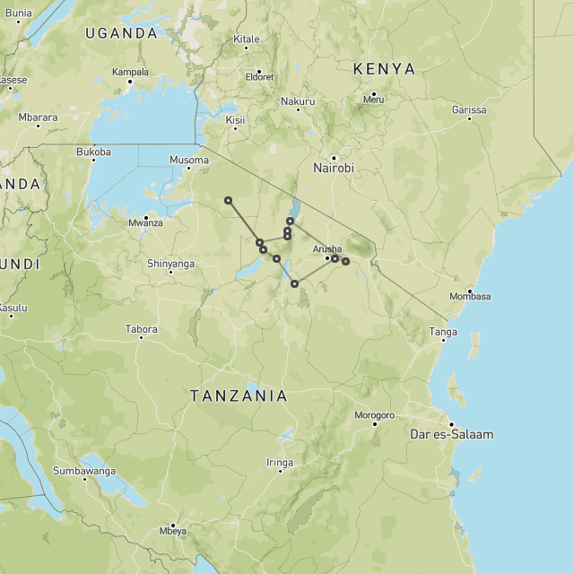 Serengeti walking safari