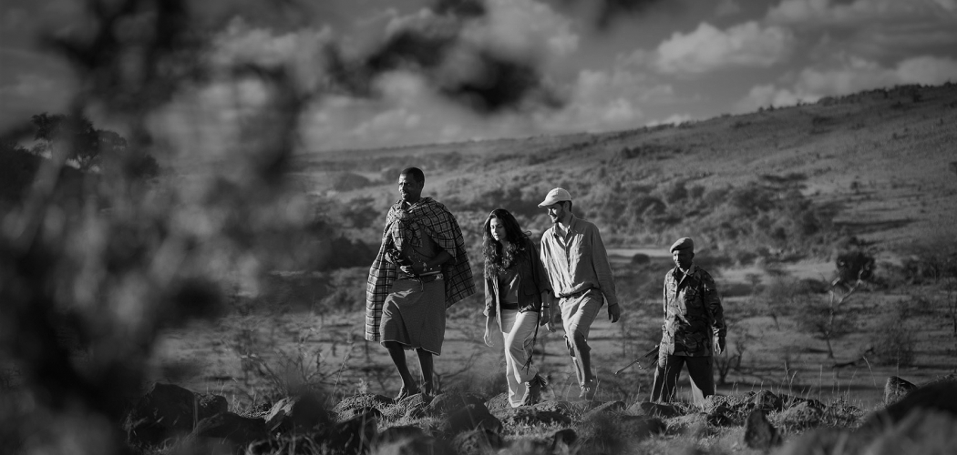 ATR are experts in their field