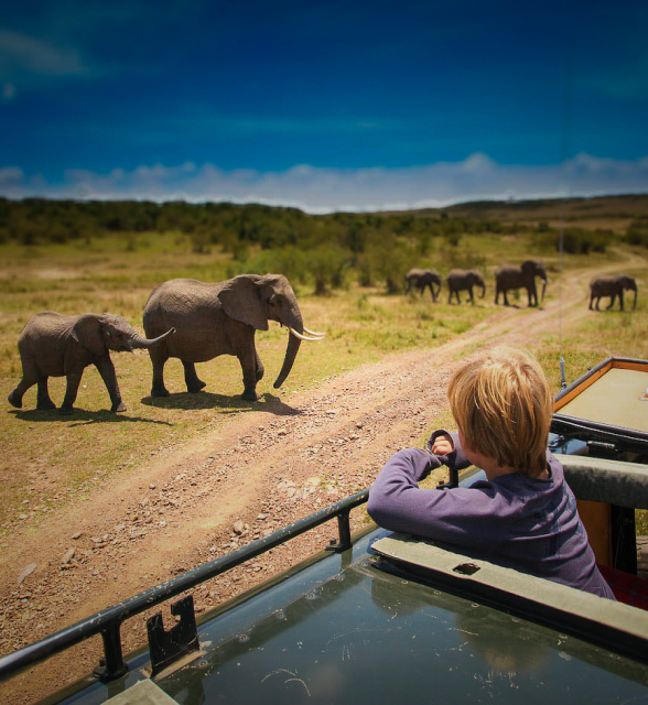 Family safaris
Important landmark trips for families with kids of all ages,
carefully crafted to delight everyone