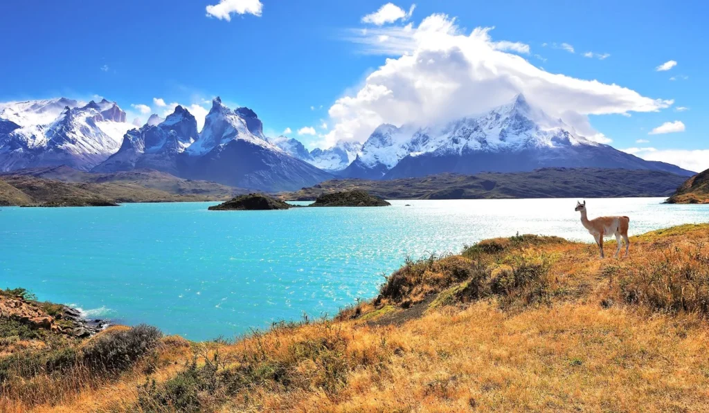 Torres del Paine