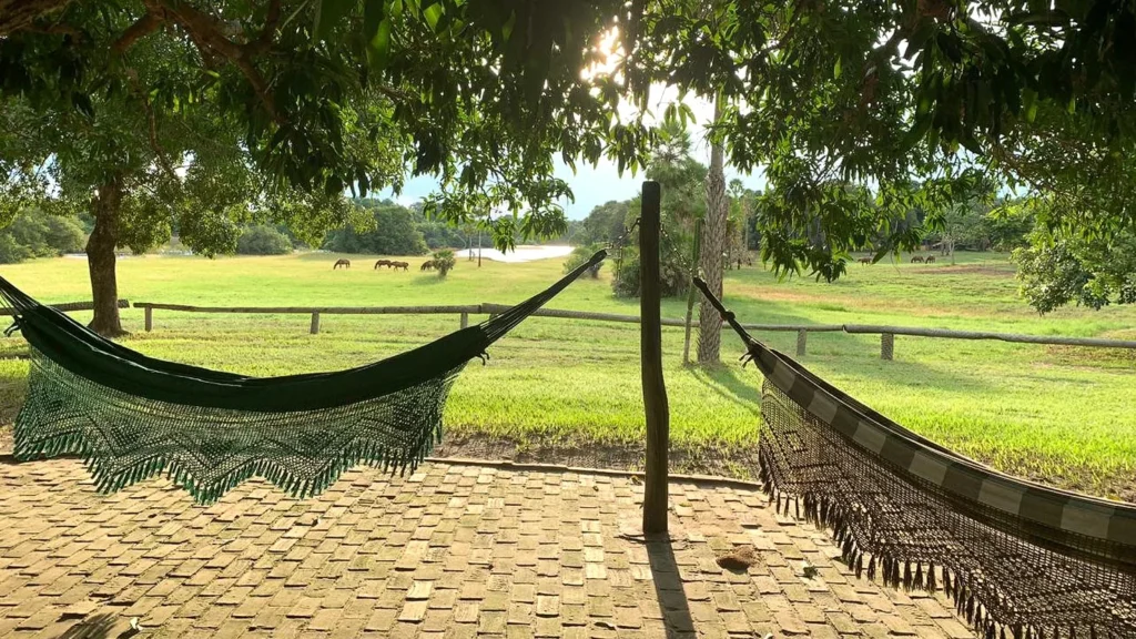 Fazenda Barranco Alto