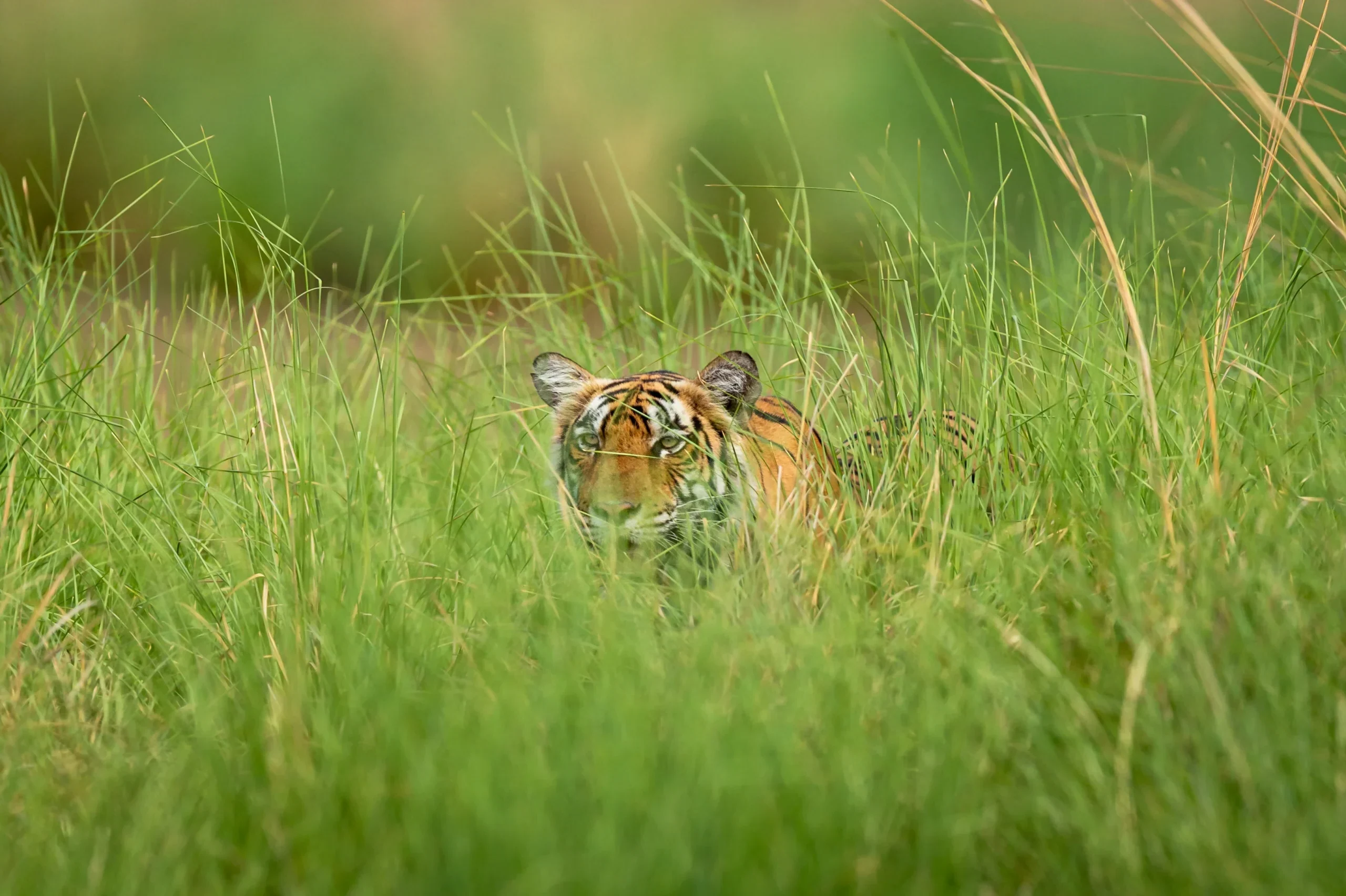 planning to be spontaneous  