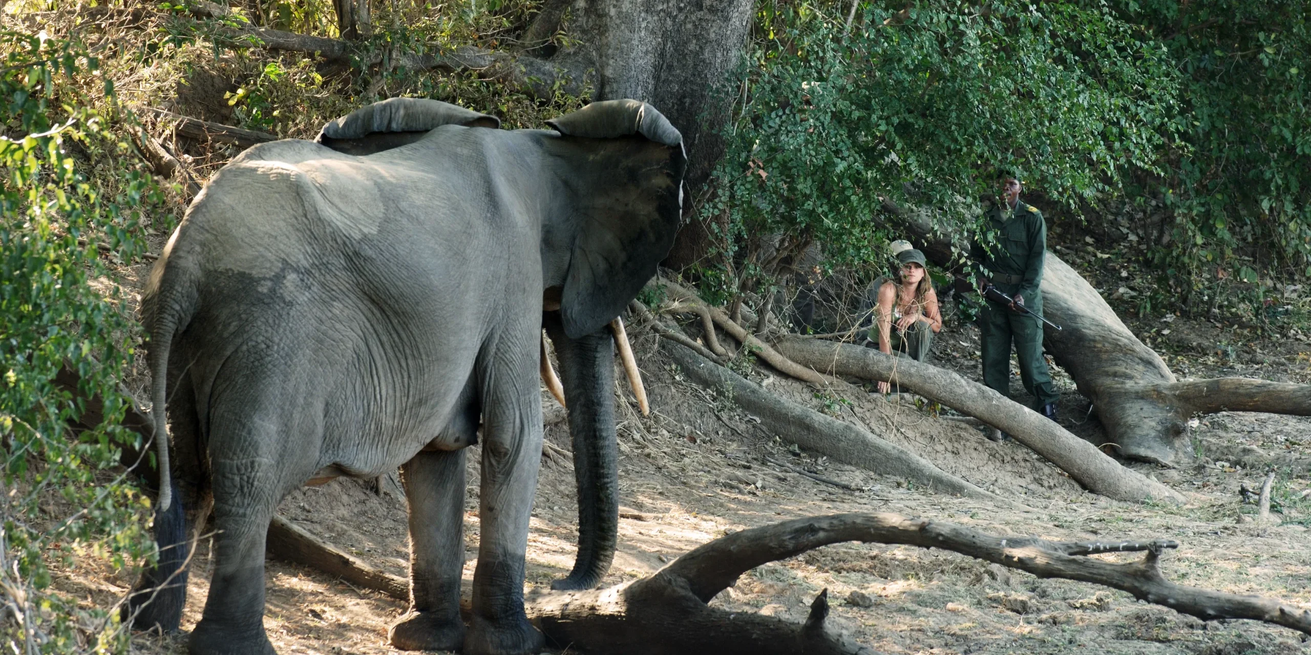 let us know how hardcore you want to go and we will deliver the perfect walking safari 