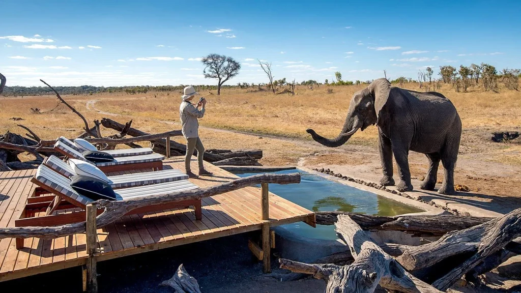 Somalisa Expeditions