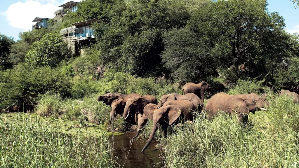 Singita Lebombo Lodge